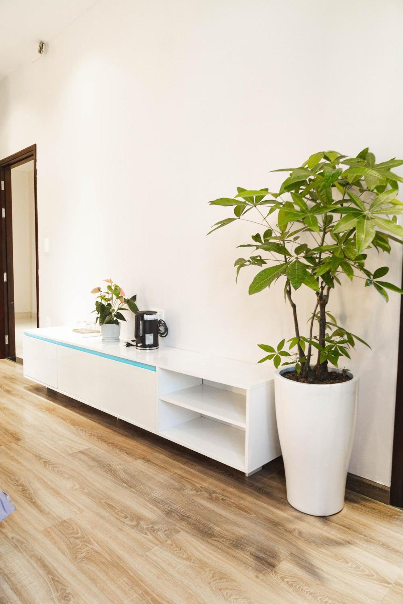 Shalom House _ Bao Loc Hotel Exterior photo