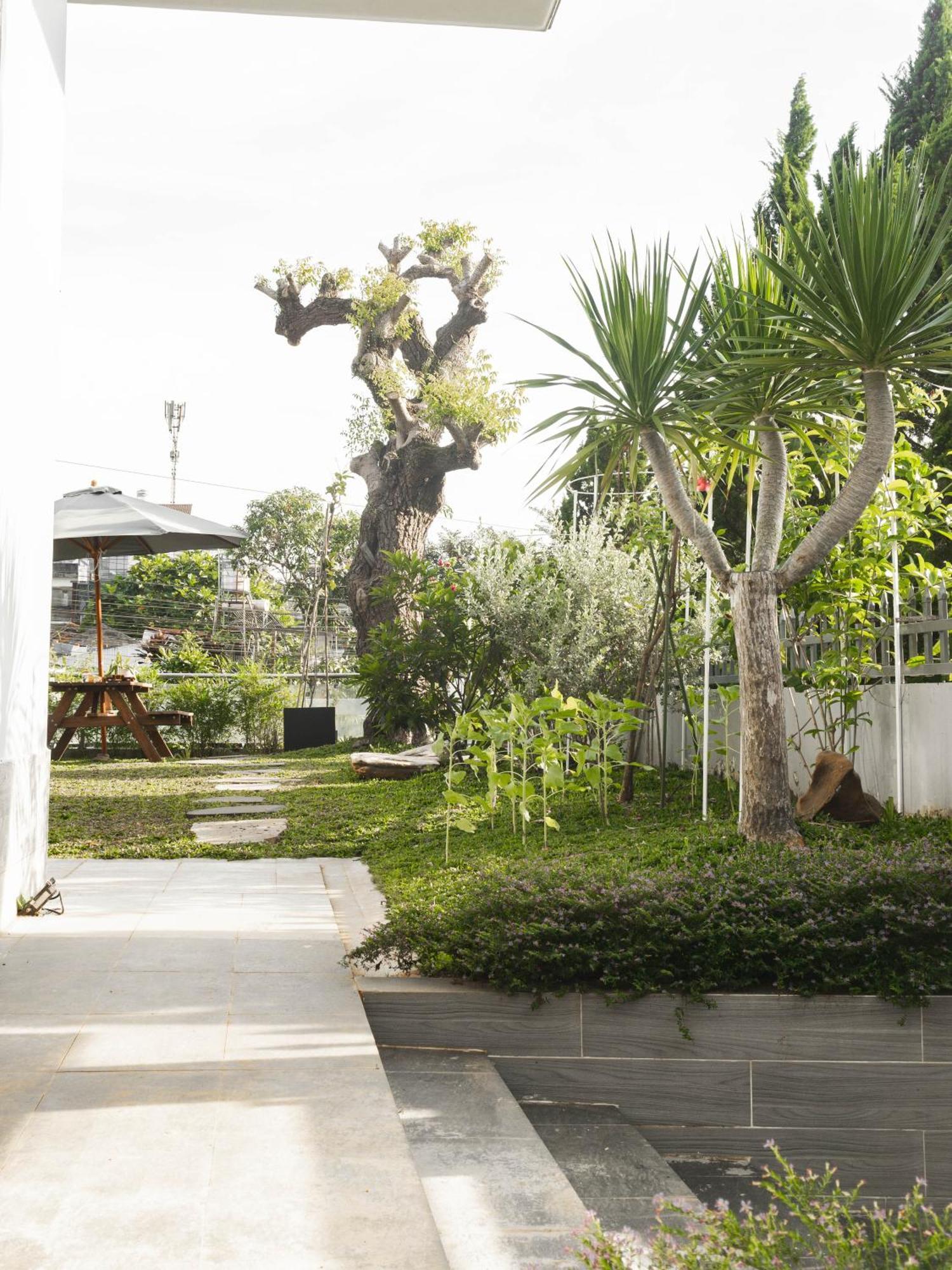 Shalom House _ Bao Loc Hotel Exterior photo